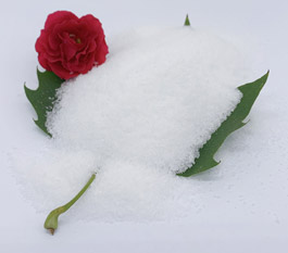 Melyik típusú poliakrilamid hatékonyabb az autómosó szennyvíz kezelésében?